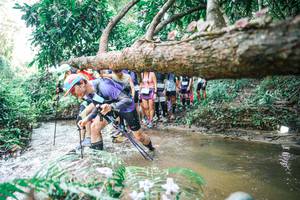 BIB: 
                            <button type="button" onclick="openModal(25470881)" class="btn btn-primary btn-sm float-right btn-popup" data-toggle="modal" data-target=".modal-high-quality">
                        <i class="fas fa-shopping-cart"></i> Add to Cart
                    </button>
                                            <button type="button" onclick="isThisMe(25470881, true)" class="btn btn-success btn-sm float-right btn-popup btn-isme hidden" data-toggle="tooltip" data-placement="bottom" title="นี่คือรูปของคุณใช่ไหม คลิกที่นี่เพื่อเอาเข้าอัลบั้ม">
                        <i class="fas fa-plus"></i> Add to album
                    </button>
                    <button type="button" onclick="isThisMe(25470881, false)" class="btn btn-warning btn-sm float-right btn-popup btn-isnotme hidden">
                        <i class="fas fa-ban"></i> Remove from album
                    </button>